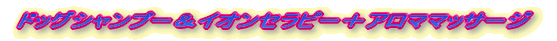 ドッグシャンプー&イオンセラピー